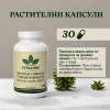 бады24-24 Премиум Комплекс За Менопауза, 1 fl oz (30 pcs)